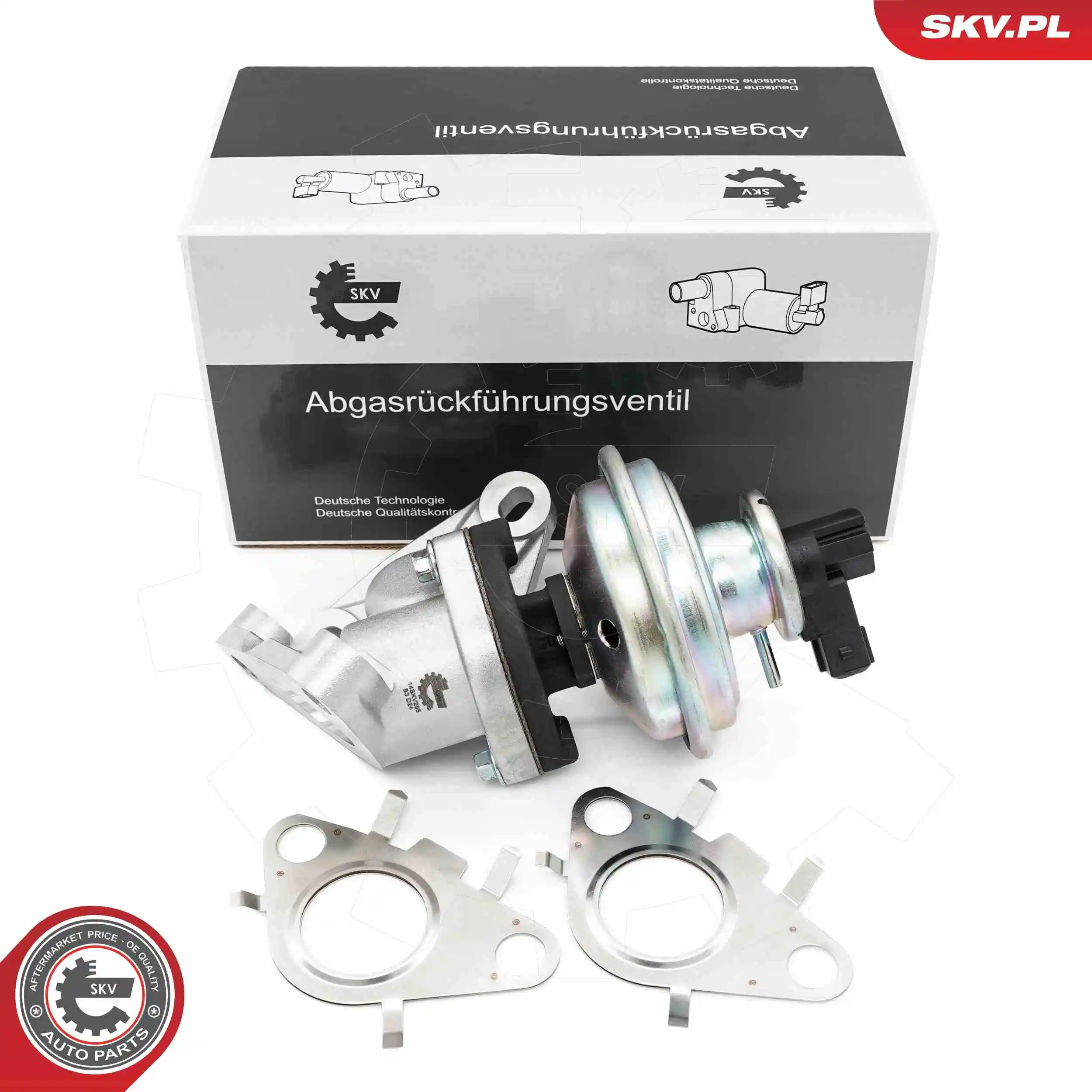 EGR Valve
